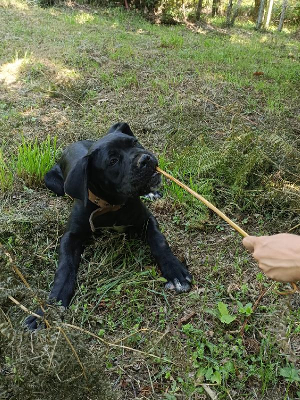 Ulisse Foto 3